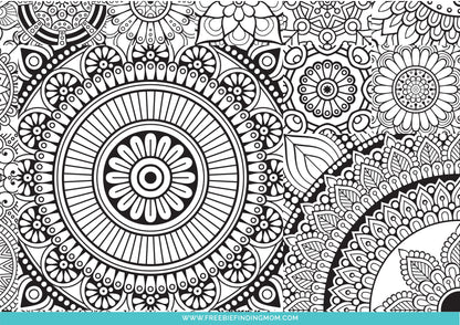 Unique Coloring Pages For Adults and Kids (3 Pages)