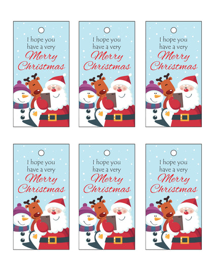 Christmas Tags Bundle (6 Styles Included)